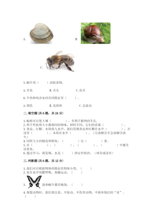 教科版小学科学一年级下册期末测试卷【能力提升】.docx