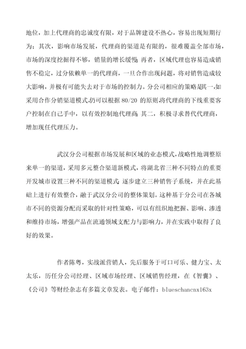 某某分公司营销渠道运营模式案例.docx