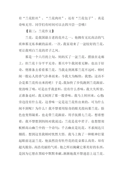 兰花作文400字0.docx