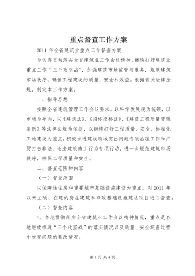 重点督查工作方案 (4).docx
