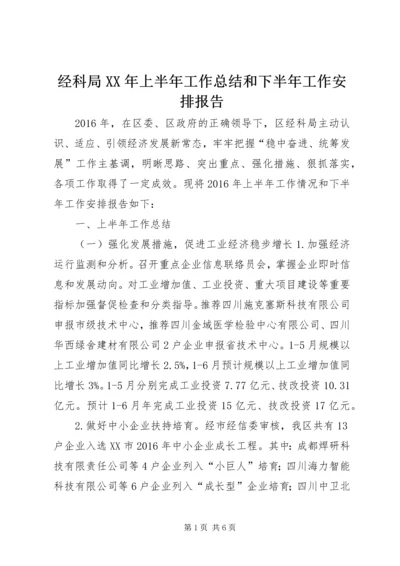 经科局XX年上半年工作总结和下半年工作安排报告.docx