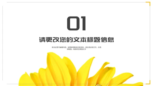 小清新简约向日葵学生毕业论文汇报演讲PPT模板