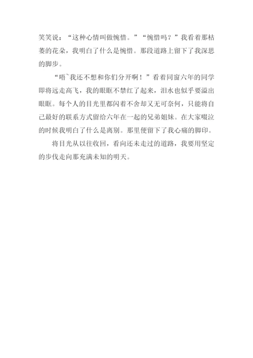 成长的足迹作文-1.docx