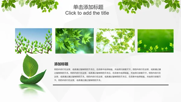 绿色环保低碳生态文明建设树叶PPT模板