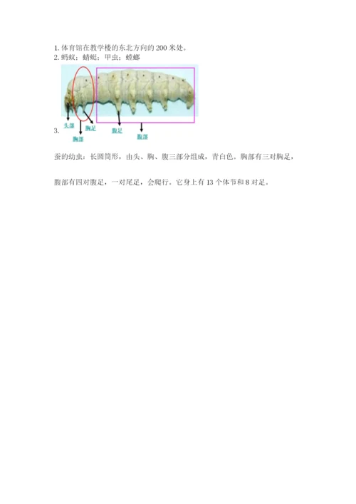 教科版科学三年级下册 期末测试卷（b卷）.docx