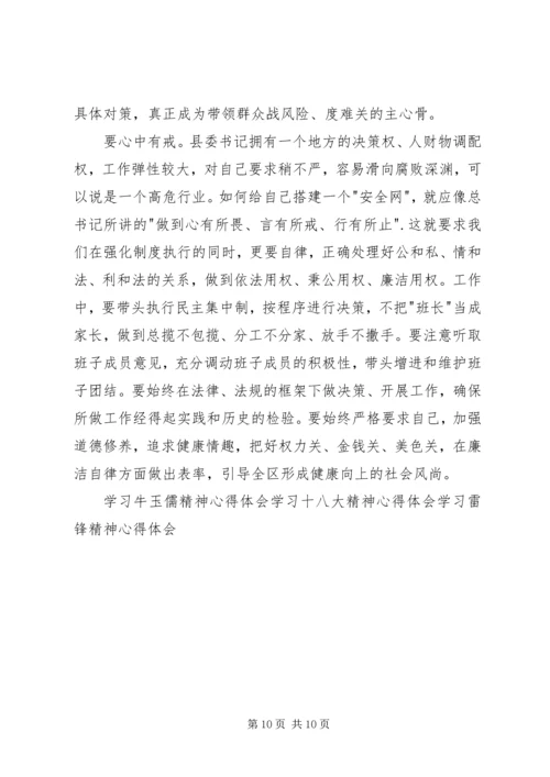 学习习总书记四有精神心得体会 (3).docx