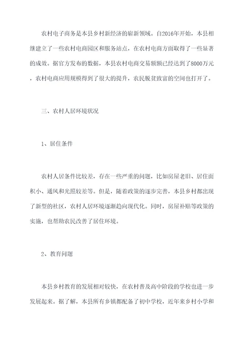 乡村专题调研报告