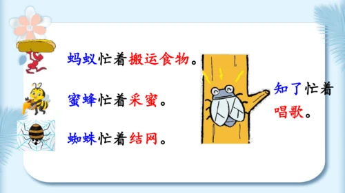 22.小毛虫（第二课时）教学课件