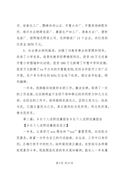 乡长个人述职述廉报告.docx