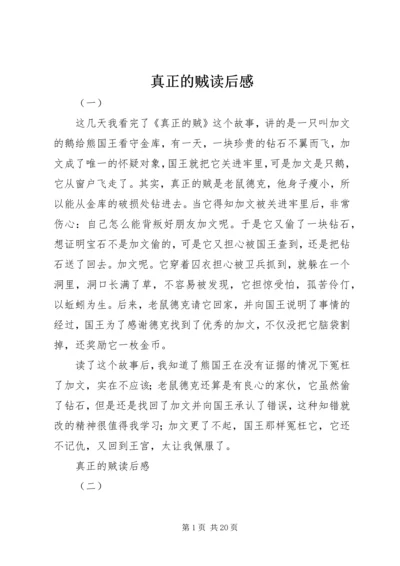 真正的贼读后感.docx