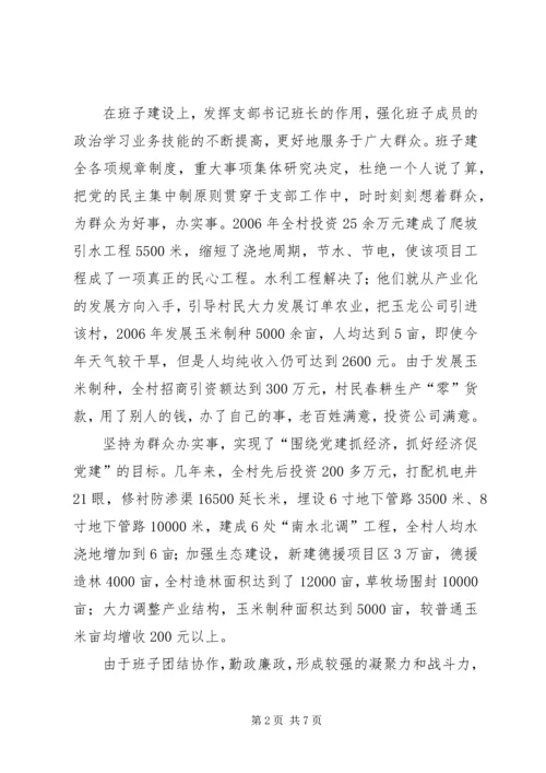 村党支部经验材料.docx