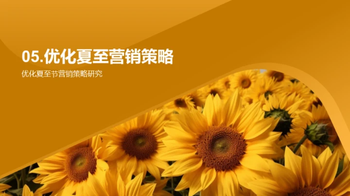 夏至营销战略解析