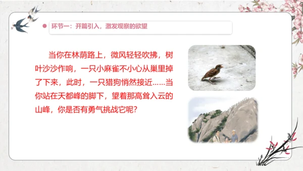 第5单元 导读课第1课时 教学设计 课件