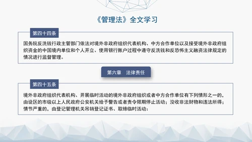 2024中华人民共和国境外非政府组织境内活动管理法解读PPT