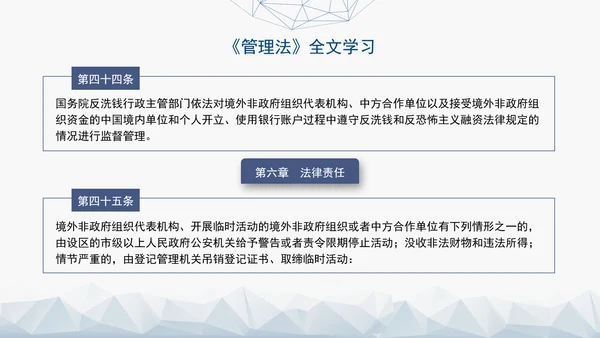 2024中华人民共和国境外非政府组织境内活动管理法解读PPT