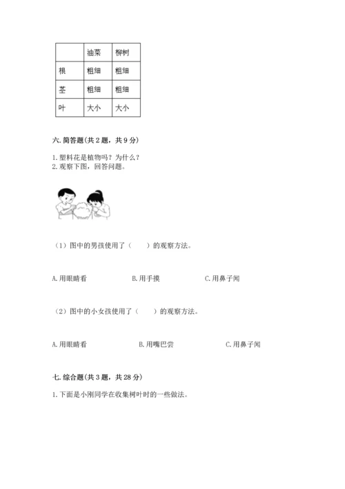 教科版科学一年级上册第一单元《植物》测试卷（精品）.docx