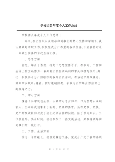 学校团员年度个人工作总结.docx