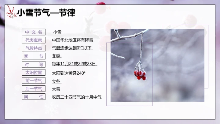 唯美简约小雪节气雪景二十四节气介绍PPT模板