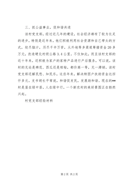 村党支部经验材料 (2).docx