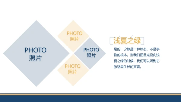 赤胆忠诚系民众团结奋进保平安PPT