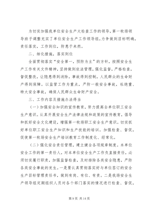 安全生产大检查自查报告精编.docx