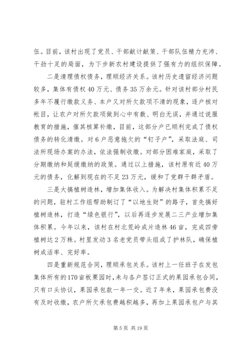 某镇某村计划生育整治情况.docx