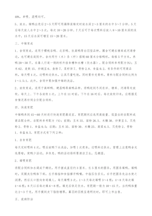 冬季肉鸭快速高效育肥.docx