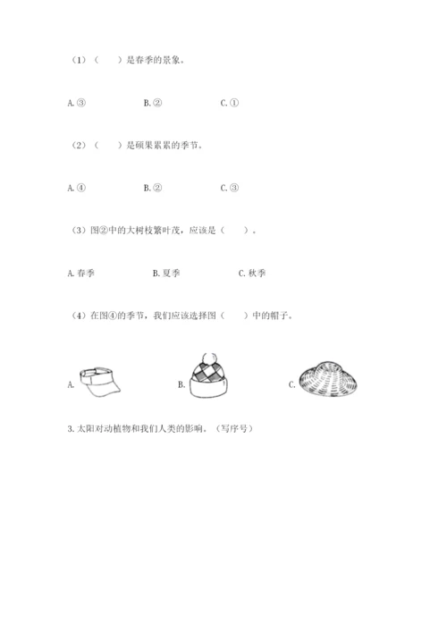 教科版科学二年级上册期末考试试卷（含答案）.docx