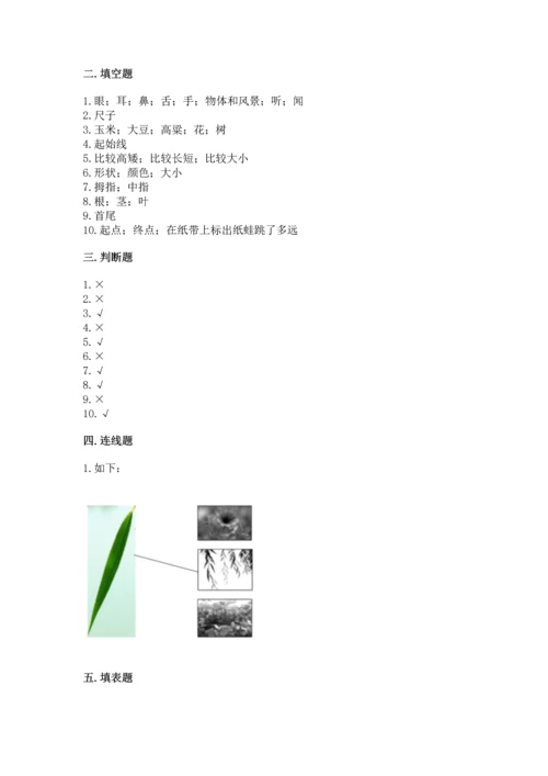 教科版小学一年级上册科学期末测试卷及参考答案（典型题）.docx