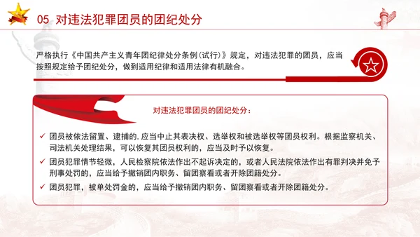 中国共产主义青年团纪律处分条例（试行）解读学习PPT