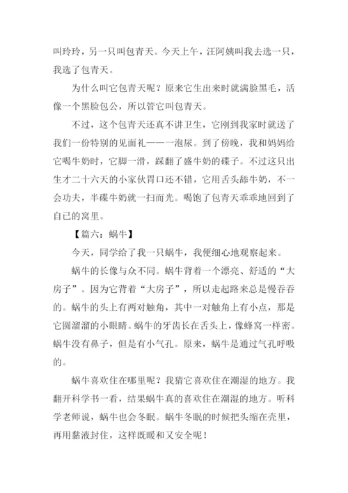 四年级作文观察日记.docx