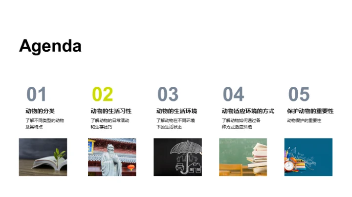 动物世界的奥秘