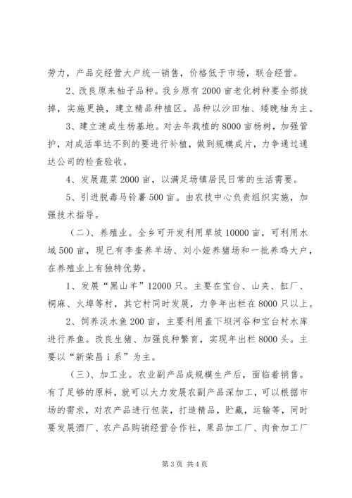 人民政府农业产业化工作计划.docx