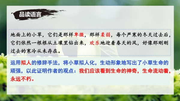 第16课 散文二篇 《永久的生命》课件