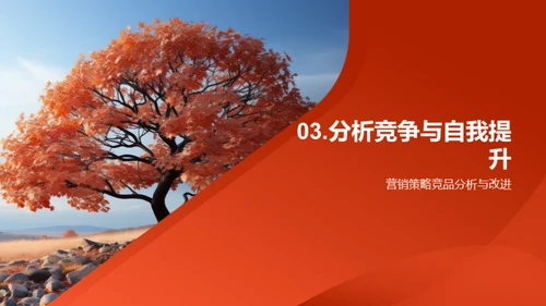 寒露节气营销策略