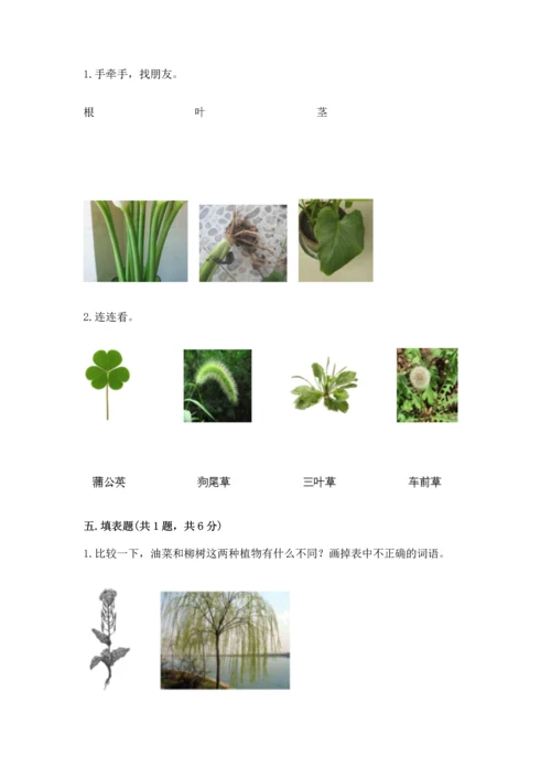 教科版科学一年级上册第一单元《植物》测试卷附参考答案ab卷.docx