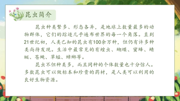 【核心素养】部编版语文二年级下册-11. 我是一只小虫子 第1课时（课件）