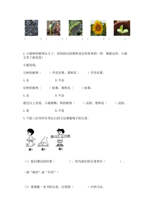 教科版一年级上册科学期末测试卷及参考答案ab卷.docx