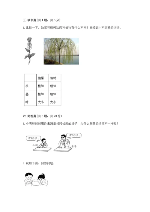 教科版一年级上册科学期末测试卷及参考答案ab卷.docx
