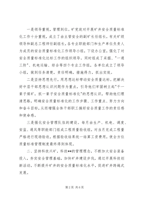 公司安全质量标准化经验交流材料.docx