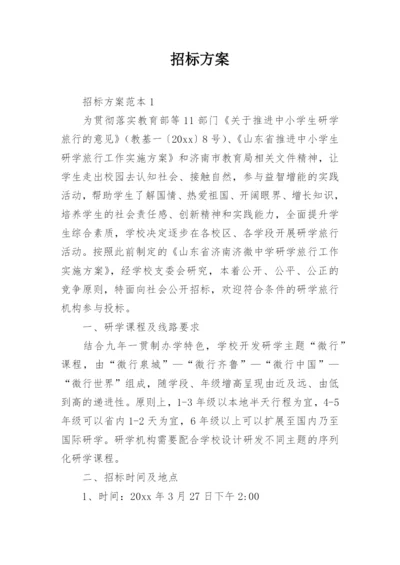 招标方案.docx