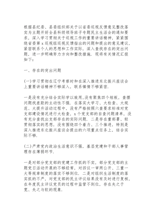 巡视反馈意见民主生活会个人发言提纲.docx