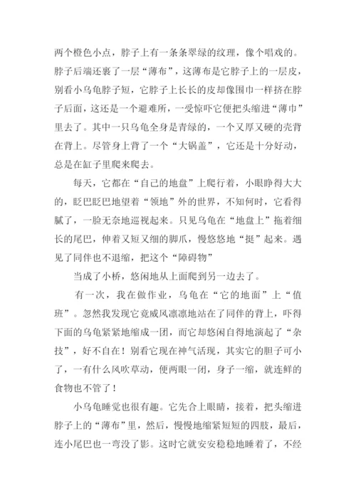 描写小伙伴的作文-1.docx