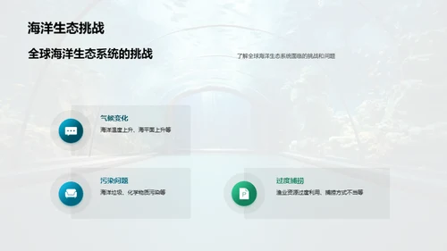 创新海洋:水族馆新篇章