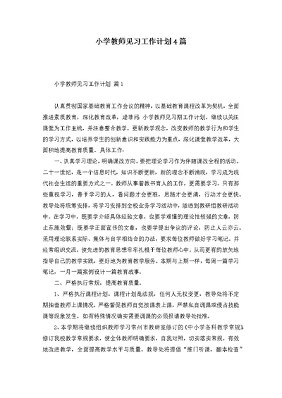 小学教师见习工作计划4篇