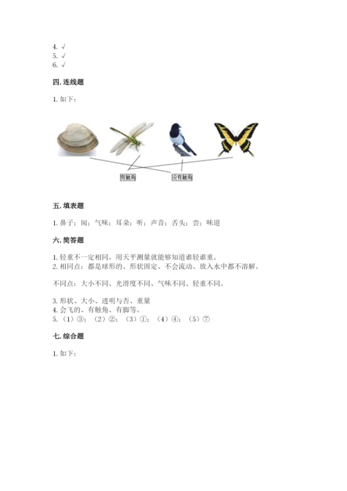 教科版一年级下册科学期末测试卷【名师系列】.docx