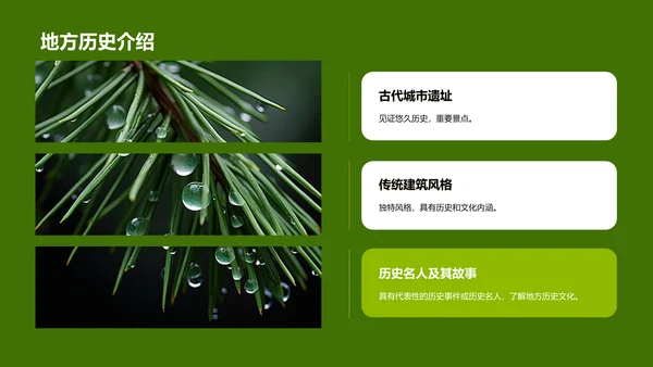 绿色商务现代旅游文化介绍PPT模板