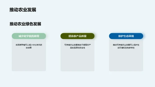 草种植：环保新策略