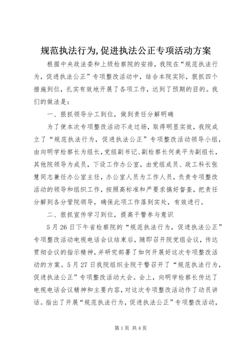 规范执法行为,促进执法公正专项活动方案 (3).docx