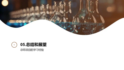理科项目实践解析